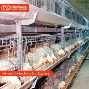 Automatic Poultry Farm Good Price Equipment Broiler Chicken Battery Cage for Sale