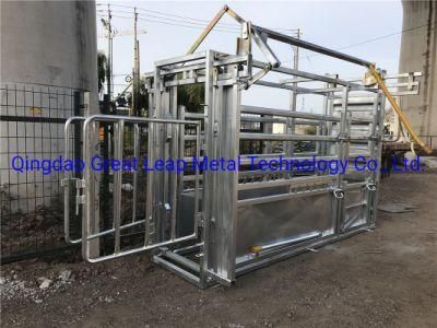 Cattle Equipment Cattle Crush with Head Bale and Sliding Gate