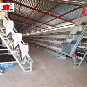 3 Tier to 5 Tier Optional a Type Automatic Chicken Cage