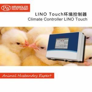 Poultry Equipment for Broiler Chicken