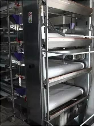Xgz Group's Livestock Farming Houses for Pigs