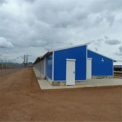 Prefab/Prefabricated High Quality Easily Management Steel Poultry Chicken Shed
