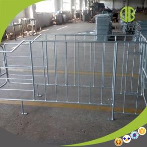 Animal Equipments for Pig Farrowing Crate Pig Stall