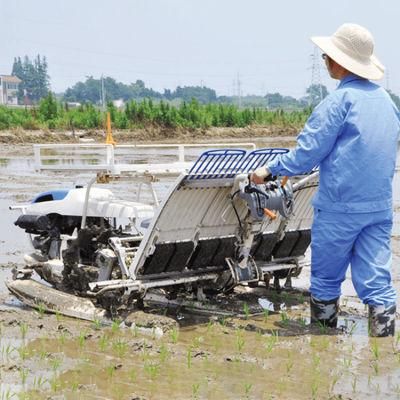 4 Row Walking Transplanting Rice Planter Paddy Machine for Sale