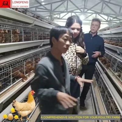 Longfeng Most Advanced Technology Low Egg Broken Rate 15-20years 430cm2 or 450cm2 Poultry Farm Equipment with High Quality