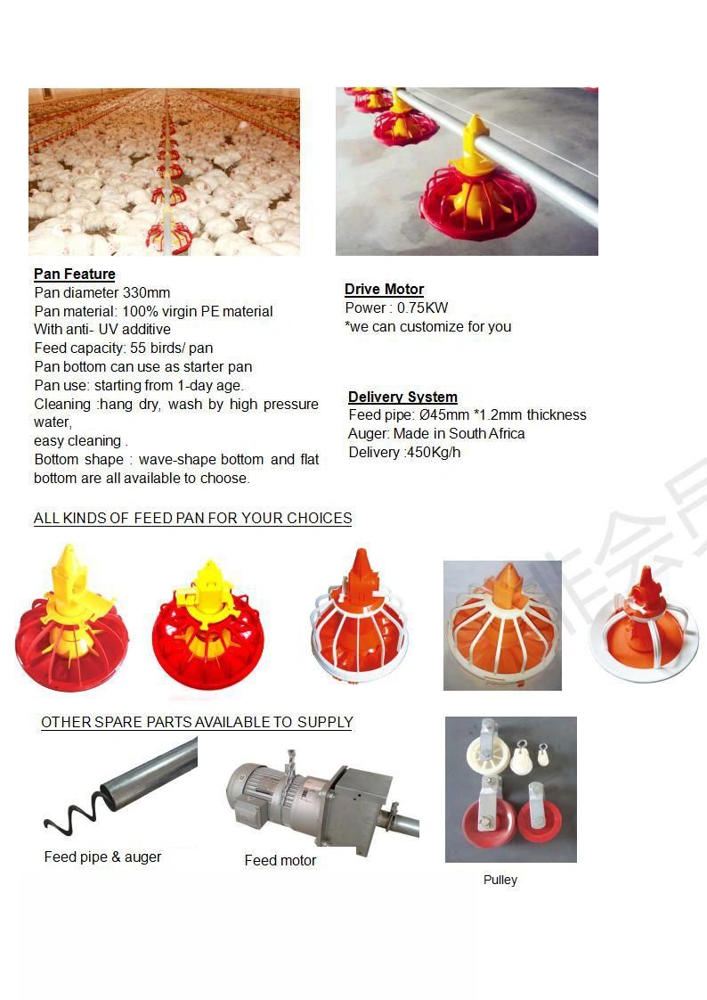 New Poultry Farm Automatic Baby Chicken Flat Raising Equipment
