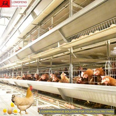 Local After-Sale Service in Asia Poultry Farm Equipment Layer Battery Cage