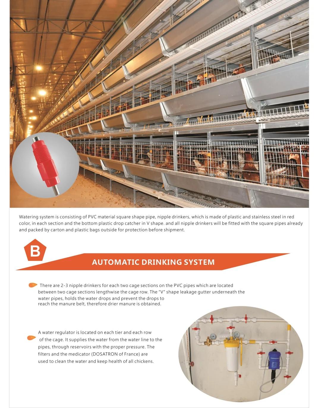 2022 New H Type Layer Chicken Cage with Automatic Equipment