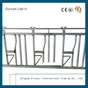 Hot DIP Galvanized Cattle Headlock Livestock Machinery