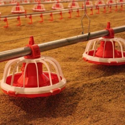 Chicken Coop with Automatic Broiler Feeding System