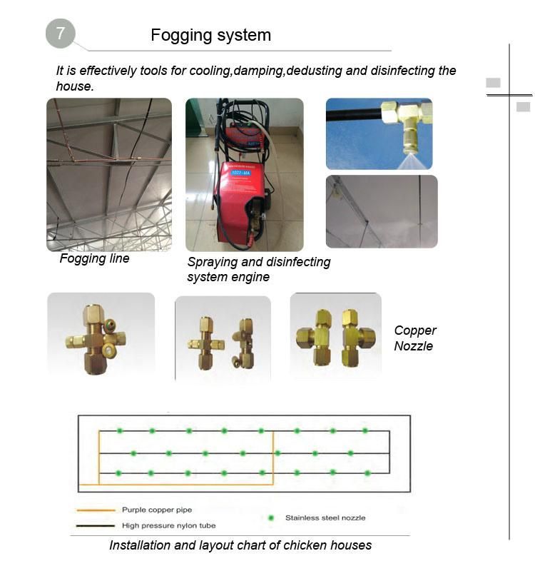 Fully Automatic Equipment for Poultry Farming Feeding Line System Broiler Chicken Products