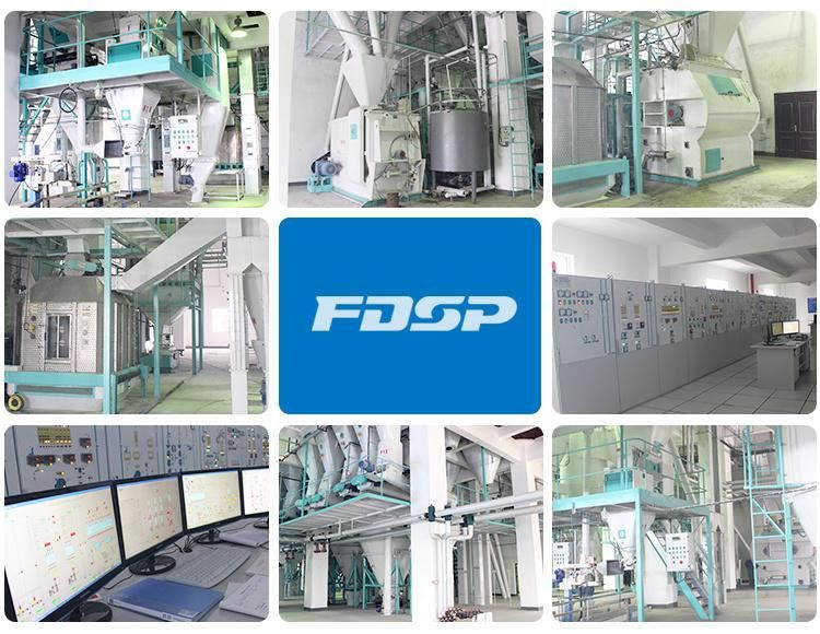 High Quality Animal Feed Production Line Poultry Feed Pellets Production Line