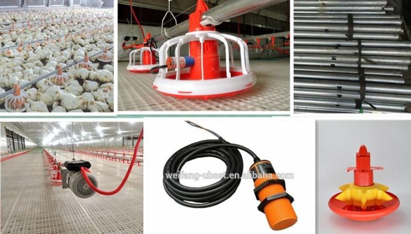 Hot Sale Poultry Farm Shed Equipment for Chicken House