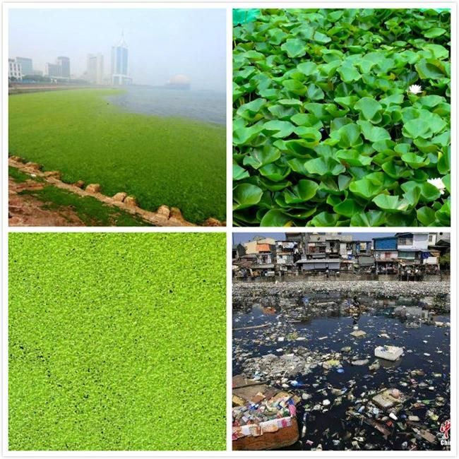 Inland Waterway Cleaning Water Hyacinth Collecting Garbage Salvage Boat