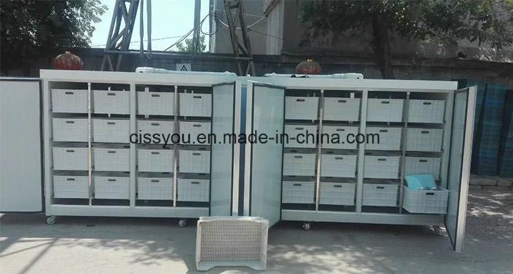 Barley Alfalfa Wheat Animal Fodder Feed Grass Sprouting Growing Machine