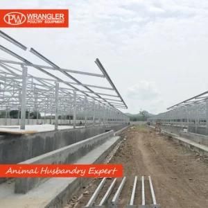 Easy Assemble Light Poultry Steel Structure with Cheap Price
