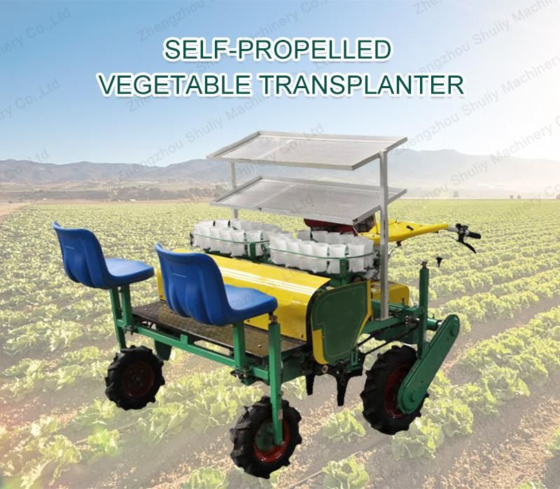 Time Saving and Labor Saving Lettuce Seed Transplanters Tobacco Transplanter