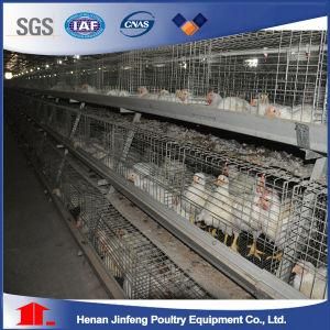 Best Sale Factory Supplier Layer Cage/Broiler Cage/Pullet Cage