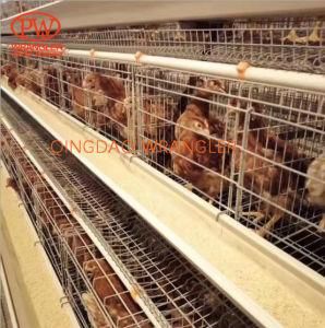Best Quality Cheap Brolier Chicken Cage for Sale