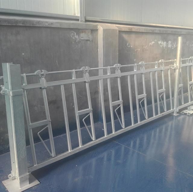 Cattle Barriers, Cattle Headlock, Cattle Locking Barriers, Cattle Equipment