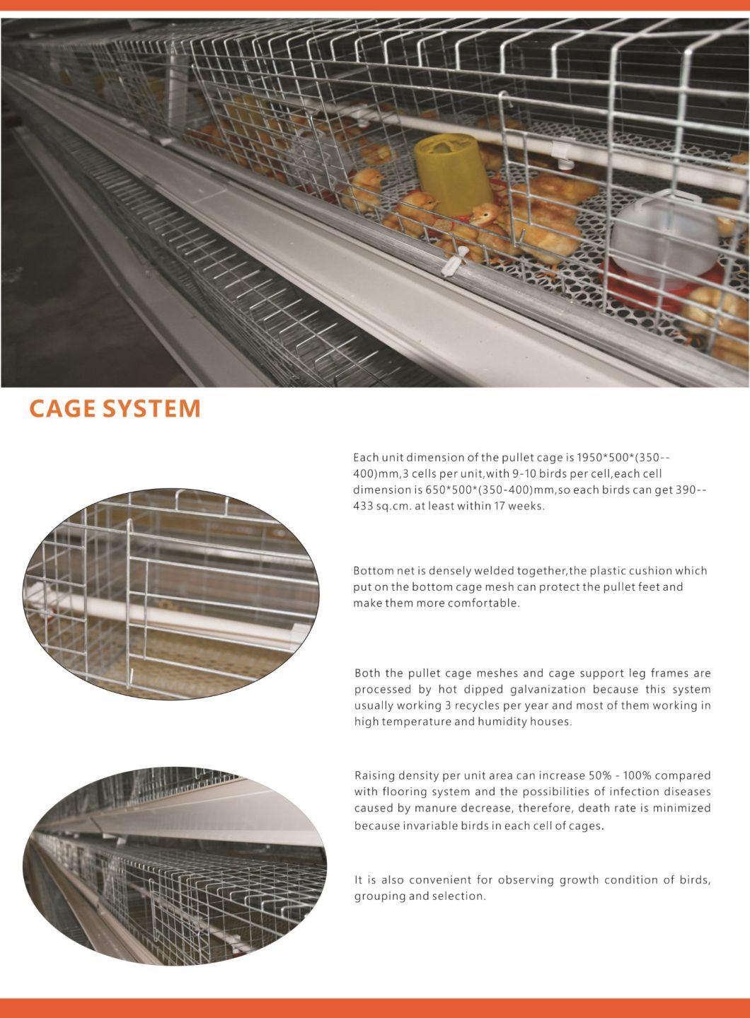2019 Hot Production a Type Battery Egg Layer Chicken Cages