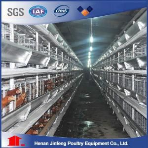 Automatic Chicken Farm Use H Type Poultry Farms Equipment