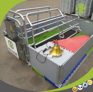 High Quality High Survival Rate Uused Farrowing Crates Sow Stall
