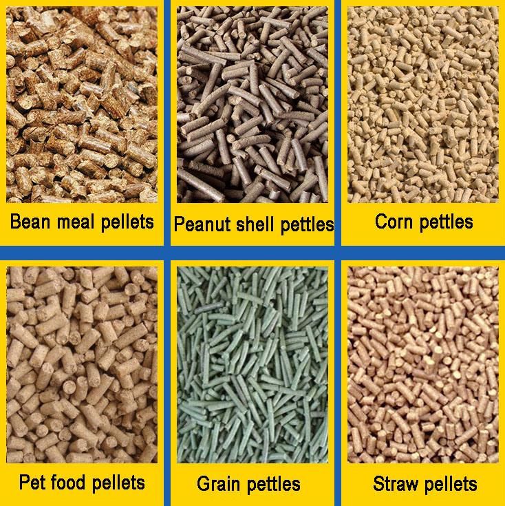 Poultry Animal Feed Pellet Mill Chicken Feed Pellet Processing Machine