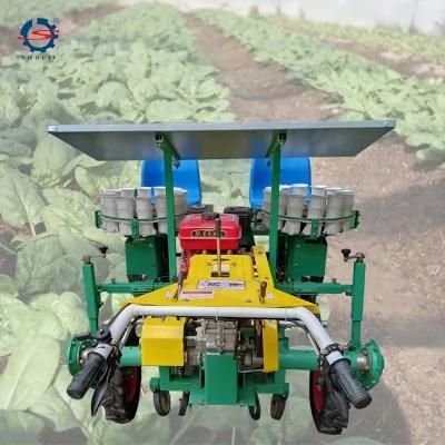 Seedling Transplanter Vegetable Transplanting Machine for Seedlings