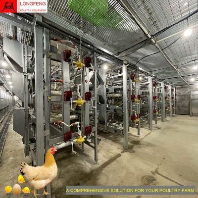 Longfeng Automatic Chicken Farm Poultry Cage System Layer Pullets Cage