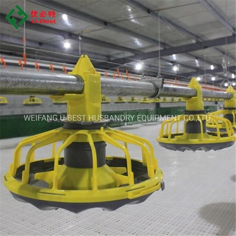 CE Approved Automatic Floor Feeding Poultry Equipment for Broiler/Layer Chicken