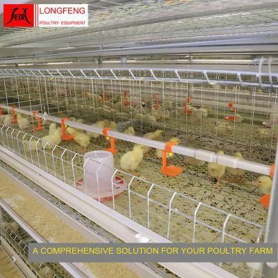 China Durable and Sturdy Longfeng Milking Machines Broiler Chicken Cage