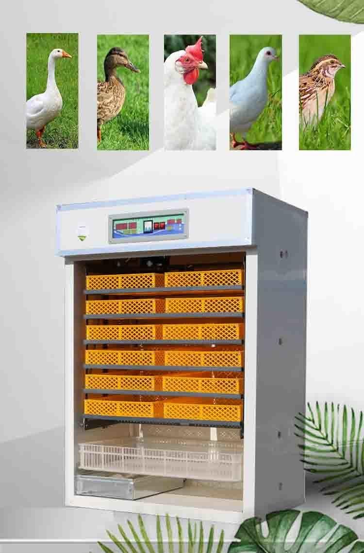 Full Automatic Chicken Incubator Hatching Eggs Solar Energy Egg Incubator