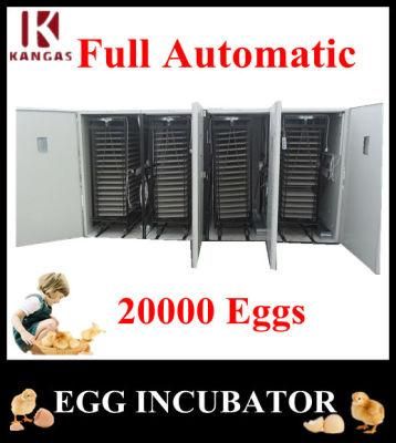 CE Approved Best Price Full Automatic Large Incubator for Sale (KP-33)
