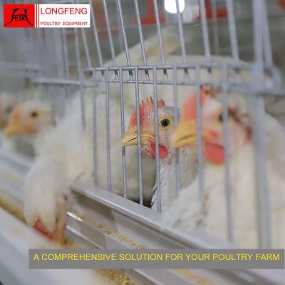 Solar Egg Incubator Broiler Chicken Cage with 1 Year Warranty