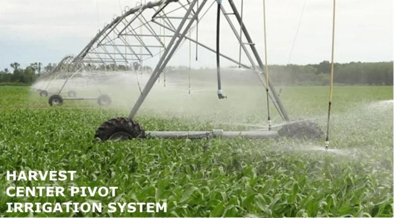 Linear Farmland Farm Irrigation System