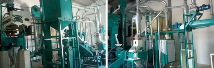 Popular 10tons/24h Corn Flour Mill Machine for Abuja Nigeria