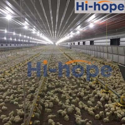 Series Automatic Feed System for Chicken House