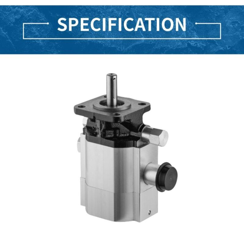 Various Specifications High Quality Hydraulic Pump Gear Pump Log Splitter Pump Cbna-8.8/2.1
