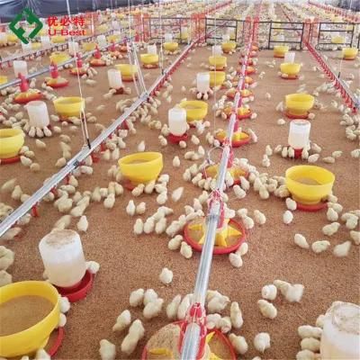 PVC Material and Chicken Feeding Usage Automatic Broiler Poultry Farming Equipment