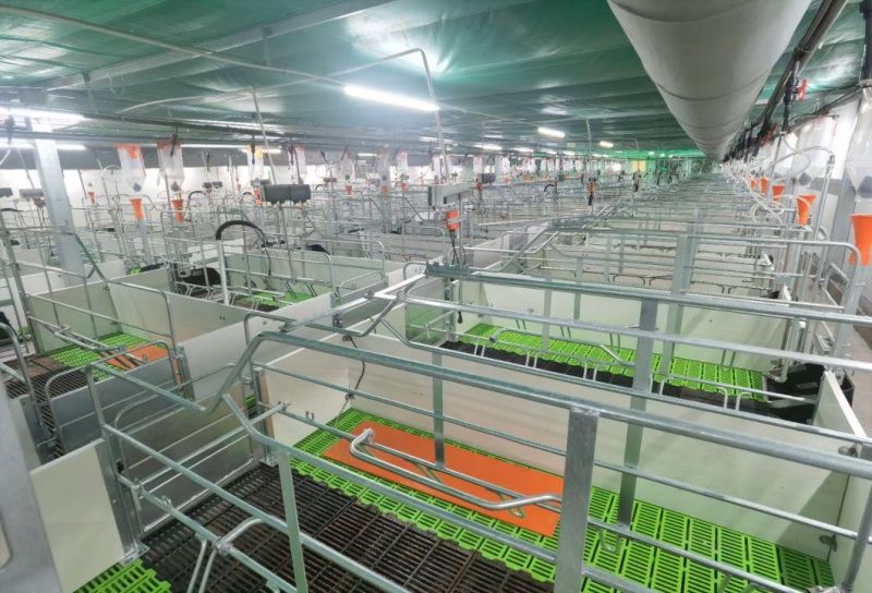 Galvanized Fattening Pig Fence Equipment for Pig Farm