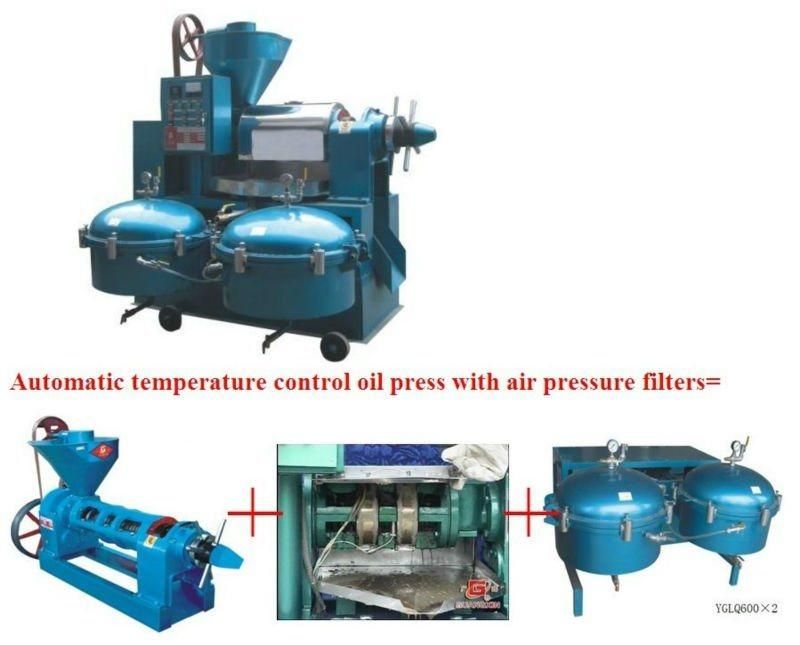 China Oil Press Machine for Seed Oil Making Grain Oil Processing