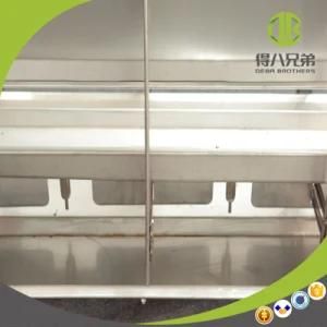 Sst304 High Quality Popular Used in Pig Farm Dry and Wet Feeder