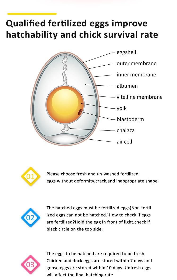 2020 New Automatic Mini Egg Incubator for 120 Eggs
