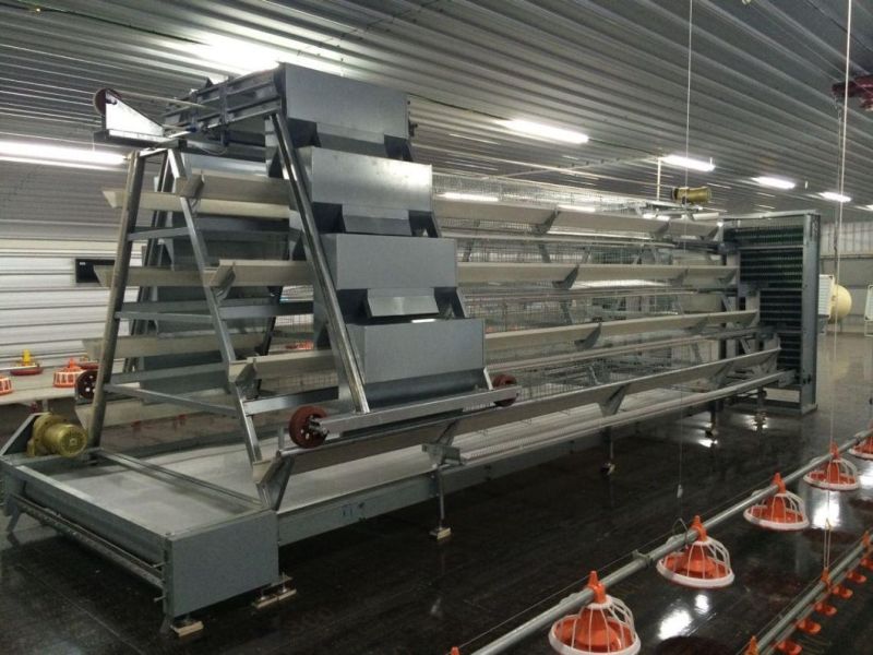 Chicken Farming Equipment Chicken Cage