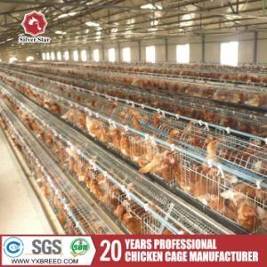 3 Tiers Layer Chicken Cage for Poultry