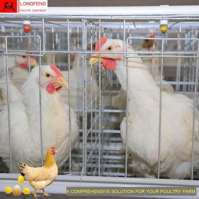 Longfeng Electric Poultry Equipment for a Type of Layer Cage with Factory Price