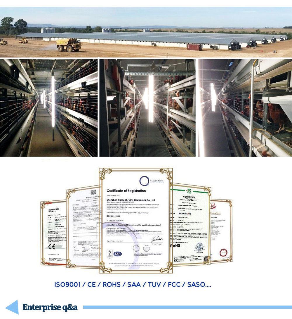 New Designed Technical Global Selling Steel Structure Poultry House