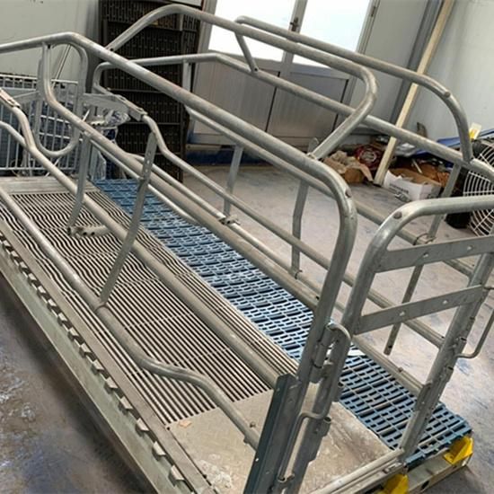 Hot DIP Galvanized Treatment Pig Farrowing Crate with Slat Flooring