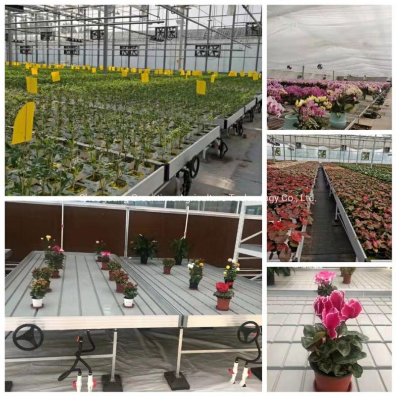 Top Quality Ebb and Flood Rolling Bench Table ABS Tray Ebb and Flow Hydroponic Medical Plants